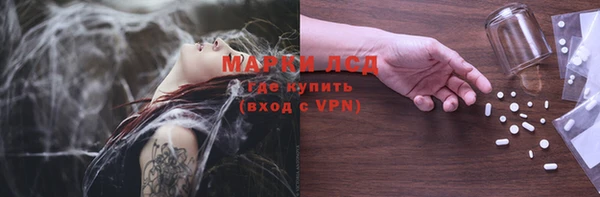гашик Осташков