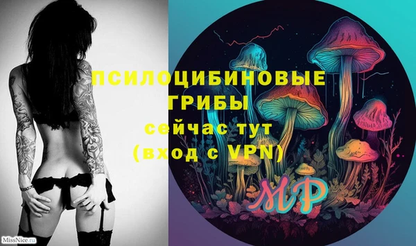 гашик Осташков