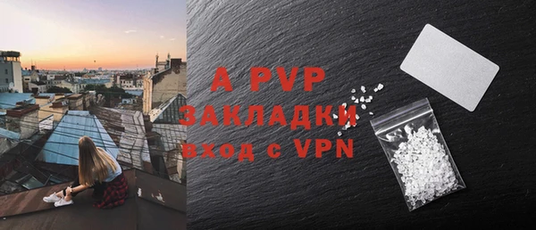 твердый Осинники