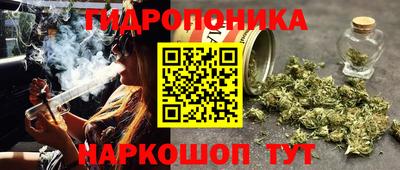 mdma Аргун