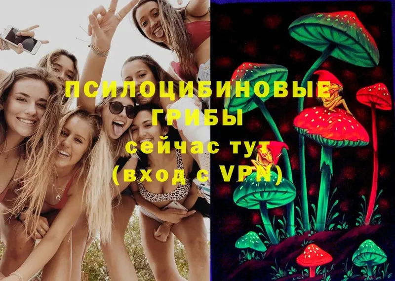 МЕГА tor  купить   Асбест  Псилоцибиновые грибы Psilocybine cubensis 