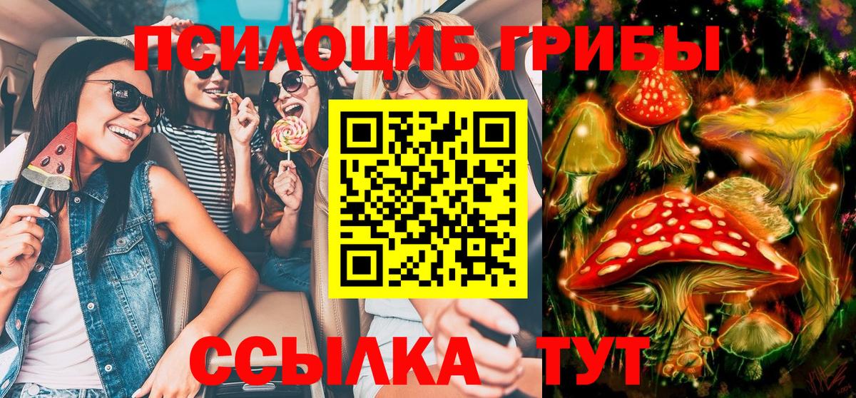 Галлюциногенные грибы Cubensis Асбест