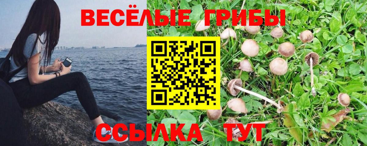 Псилоцибиновые грибы Cubensis  Вход с VPN  Асбест 
