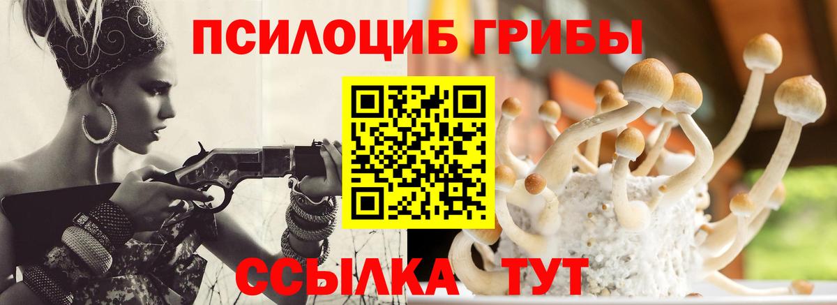 Псилоцибиновые грибы мухоморы Асбест