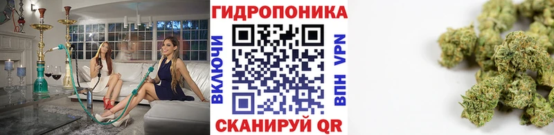 Канабис AK-47 где купить Асбест